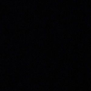 Meet your Posher, Frida